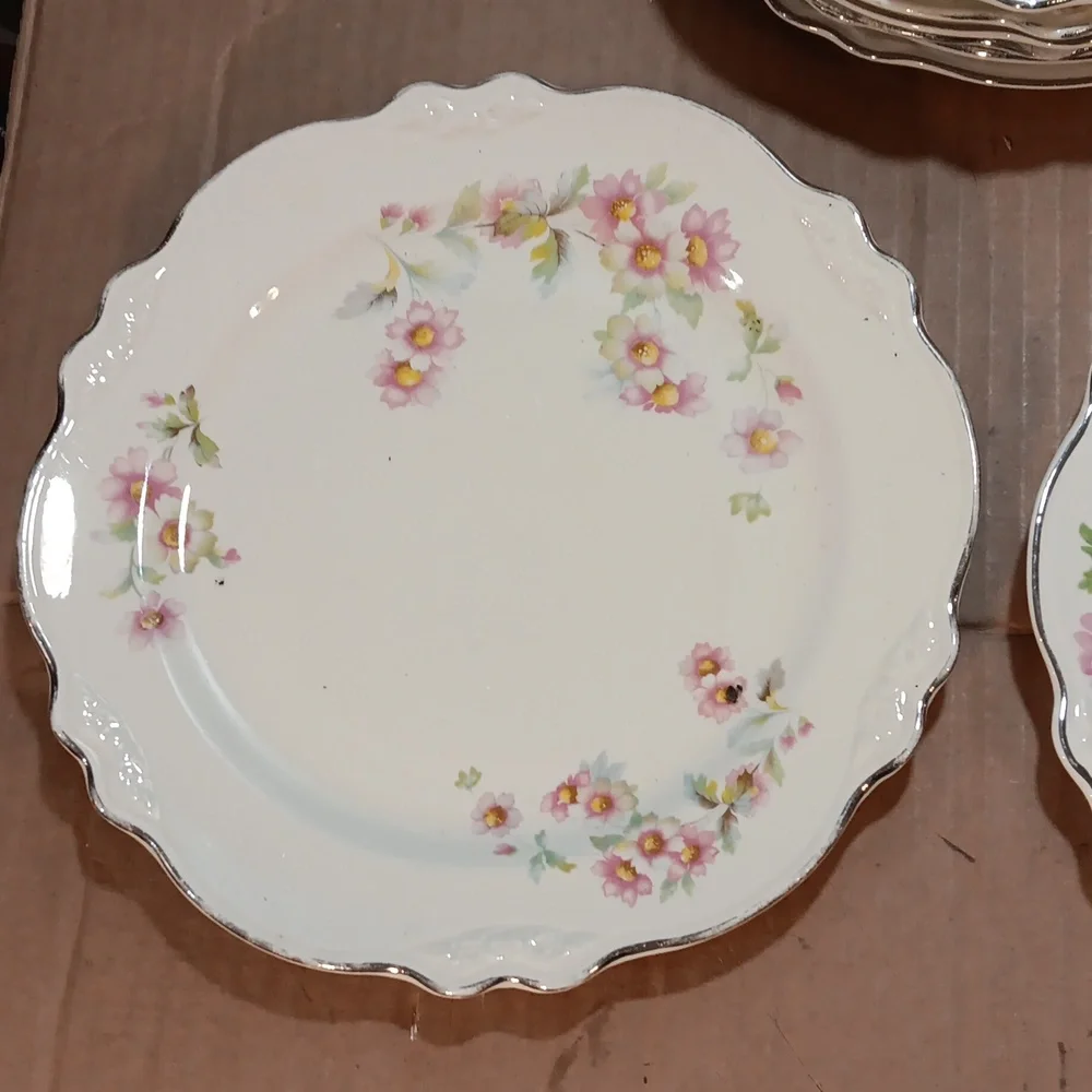 7  Virginia Rose Homer Laughlin Dishes